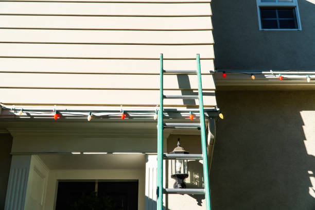 Best Aluminum Siding Installation  in Holden Heights, FL